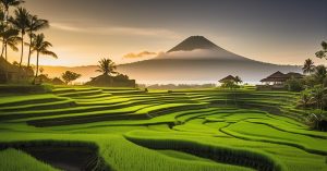 # Bali kiedy jechać? Sprawdzony przewodnik dla twardzieli