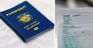 Jak wygląda paszport dla psa? - Praktyczny przewodnik